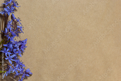 Spring blue flowers of Scilla bifolia on old yellow paper background with blank space for text. Floral frame for greeting or invitation. Spring concept in vintage style
