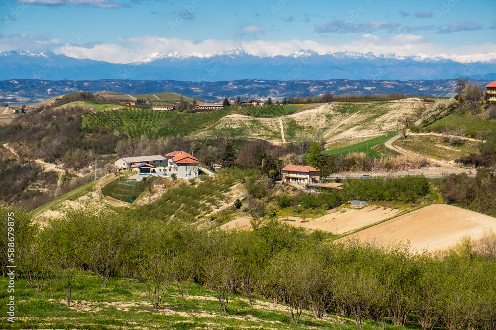 Sunny spring landscape in Langhe, Piedmont Italy