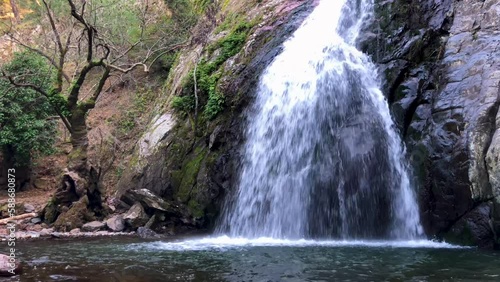 waterfall in the forest