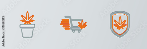 Set line Shield and marijuana, Marijuana plant in pot and Shopping cart with icon. Vector