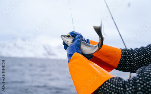 Norway exports thousands of tonnes of cod to the whole world, every year. The fish is especially popular in Southern Europe, and is an important ingredient in Bacalao.