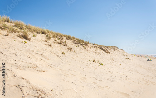 French dune landscape along the Atlantic coast with grass on the top during a sunny day