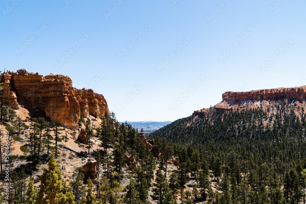 Beautiful view of green trees and rock formations in Bryce Canyon National Park. Utah, USA.