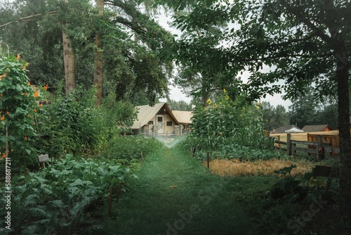 Scenery of a small wooden farm house with a lush green front yard full of vegetable plants