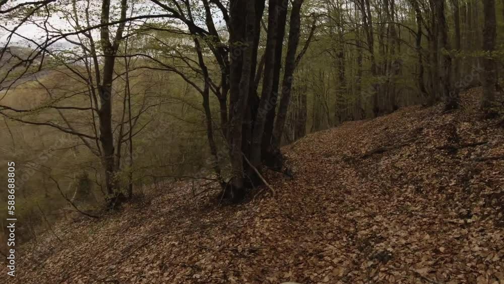 Point-of-view aspect of a mountain biking in narrow trail between trees. Аutumn adventure ride on leaves. Point-of-view aspect of a mountain biking in narrow trail between trees. Аutumn adventure ride on leaves.