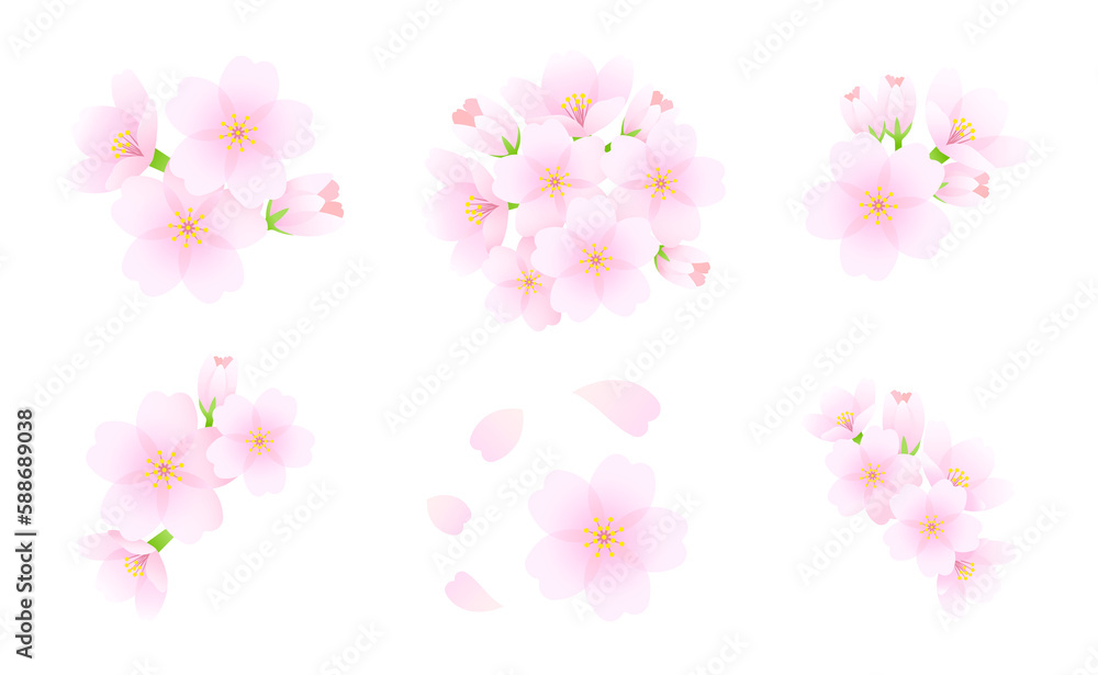 Cherry Blossom Set Illustration for Spring Decoration