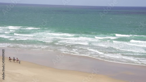 Landscape of camels on the beach surrounded by the sea in Tangier, Morocco