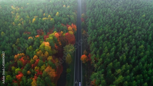 Vehicles drive on two-lane freeway in foggy autumn morning. Road with cars stretching in large forest with green red and yellowed trees aerial view photo