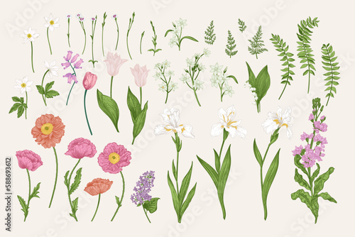 Set with spring and summer flowers. Blooming garden. Vector botanical illustration. Tulips, poppies, irises, cannons, levkoy. Colorful.