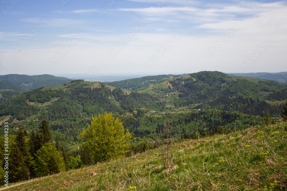 Naklejka premium Beautiful landscape on spring mountains in Ukrainian Carpathians