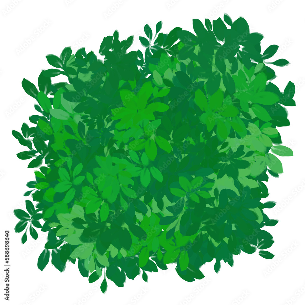 Obraz premium Tree