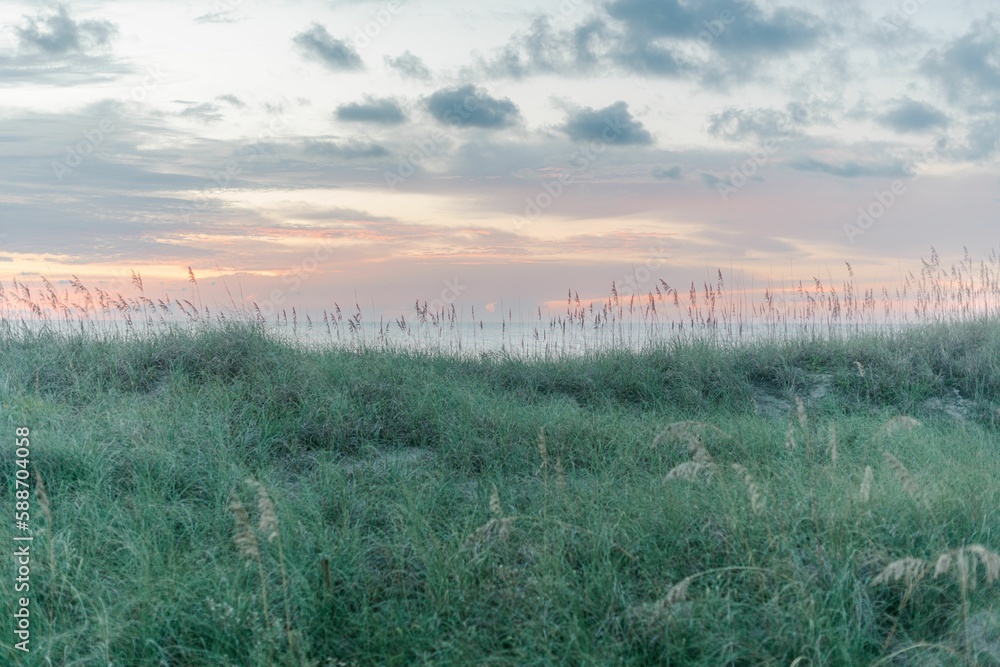 Scenic sunrise over the sea and its green-covered beach