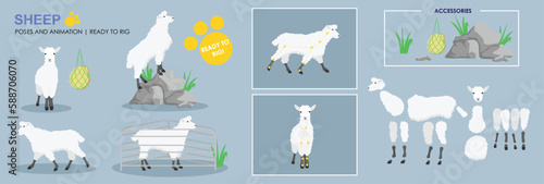 Sheep, lamb, Farm animals, ready to rig vector for animation, collection poses and angles, farm animal cartoons.