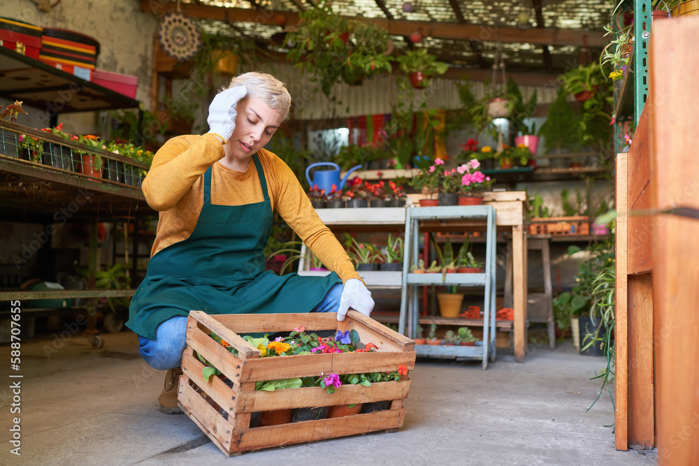 Frau als gestresste Floristin mit Blumen in einer Kiste Stock Photo ...