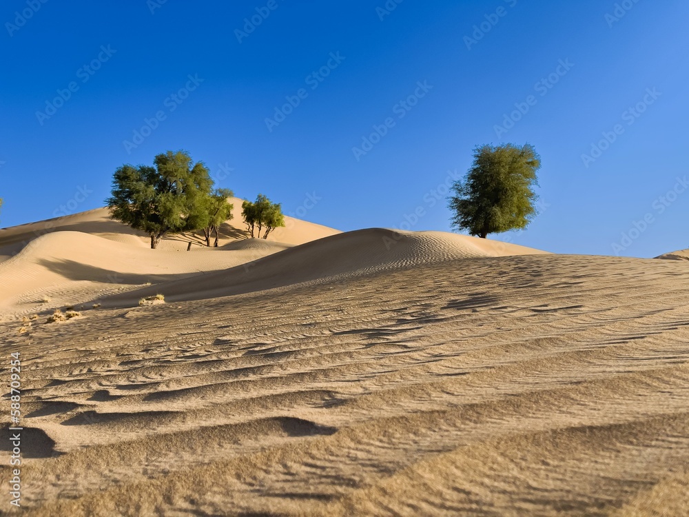 Beautiful landscape of dunes in a desert on a sunny morning