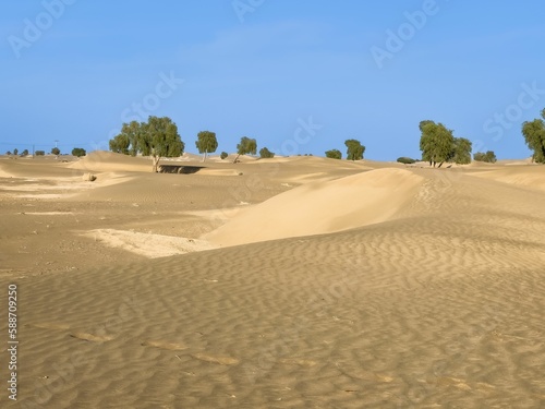 Beautiful shot of brown sand dunes with growing green trees under a sunny sky