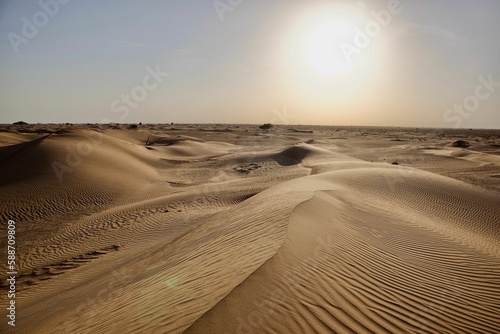 Fototapeta Naklejka Na Ścianę i Meble -  Sand dunes in a desert with a blue skyline and sunlight in the background