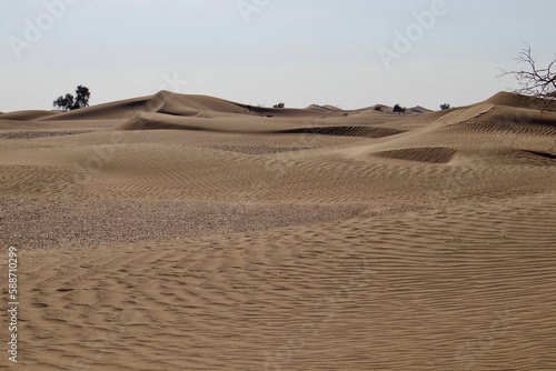 Fototapeta Naklejka Na Ścianę i Meble -  Daytime view of the sand dunes in a desert