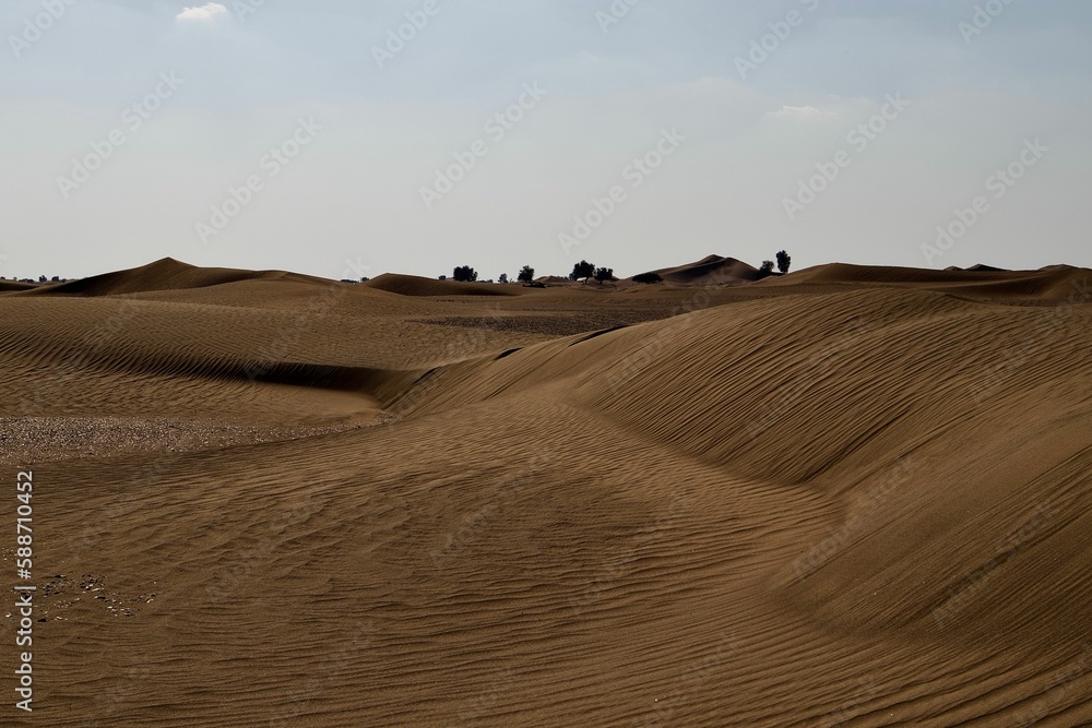 Obraz premium Scenic view of large desert landscape with sand dunes under blue cloudy sky