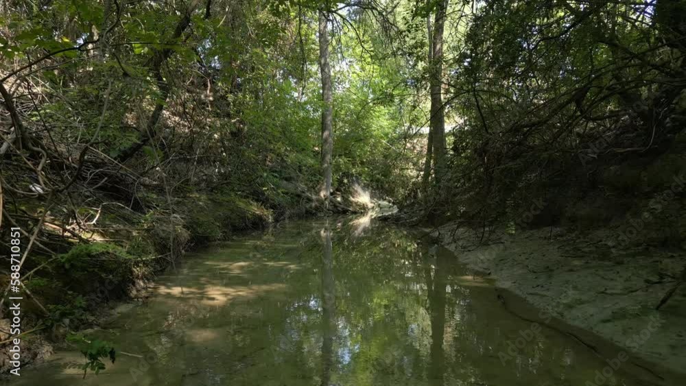 Beautiful view of woods in Lost Creek in Allen TX with river and light falling from the trees Beautiful view of woods in Lost Creek in Allen TX with river and light falling from the trees