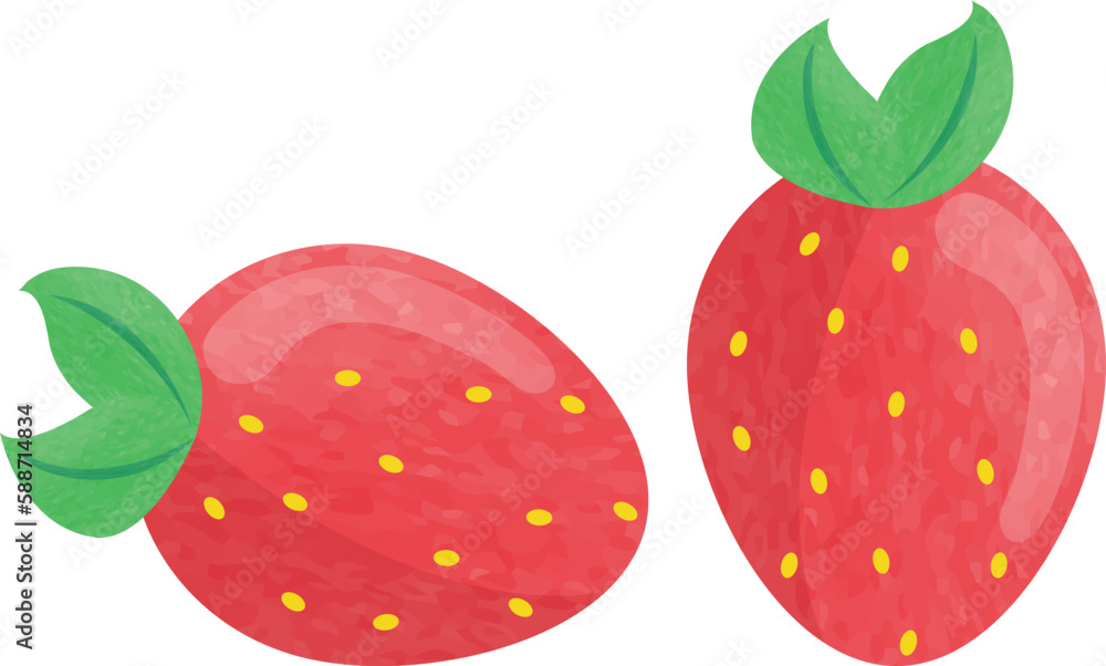 illustration of a strawberry vector illustration of a strawberry vector