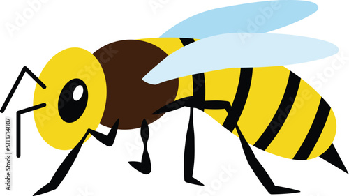 Bee insect vector image or clipart