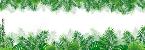 Tropical seamless border frame. vector illustration. Rainforest foliage repeated wallpaper. Jungle plants template banner. Green template pattern with tropic palm leaf, monstera. Summer background.