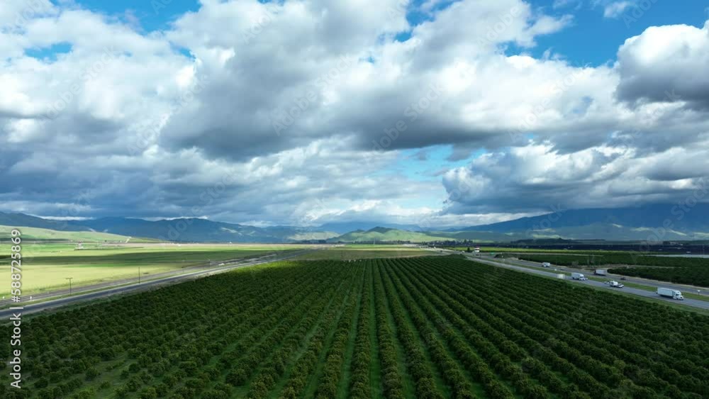 Orange tree orchard beside a California freeway - sliding aerial reveal
