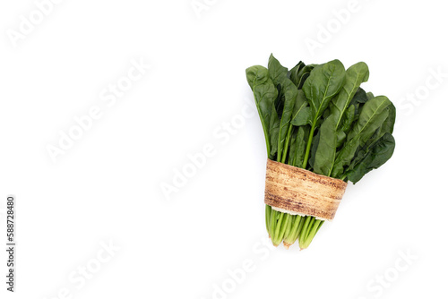 Fresh spinach on white background