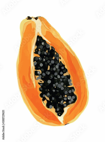 papaya isolated on white background. 
papaya watercolor drawing. vector illustration. fruit. food summer art. icon