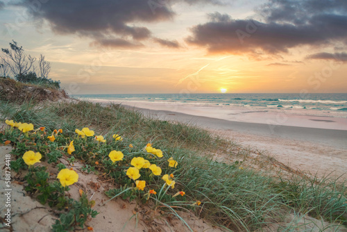 Mesmerizing panoramic view of turquoise ocean waves crashing against the pristine beach during stunning sunrise with yellow flowers in the foreground. 
