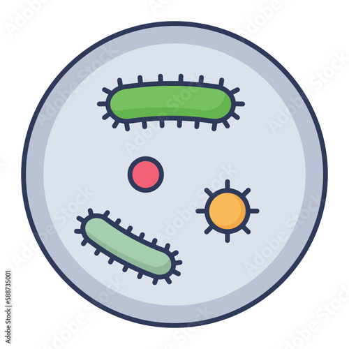 bacteria