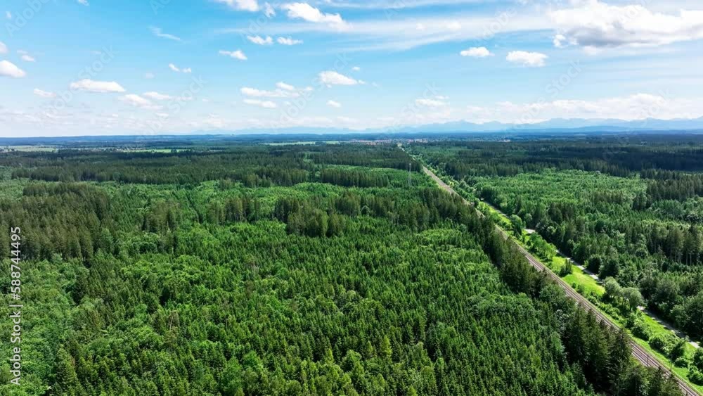 Timelapse of light moving clouds with a blue sky and a wonderful green forest Timelapse of light moving clouds with a blue sky and a wonderful green forest