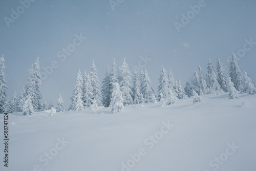 Winter wonderland with snow-capped pine trees in the mountains