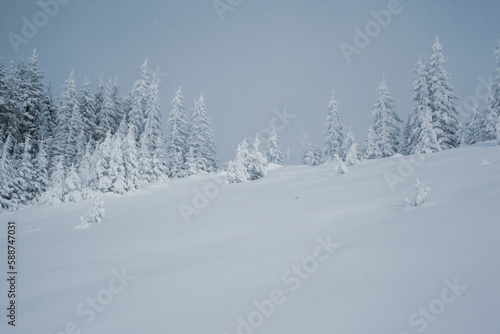 Winter wonderland with snow-capped pine trees in the mountains
