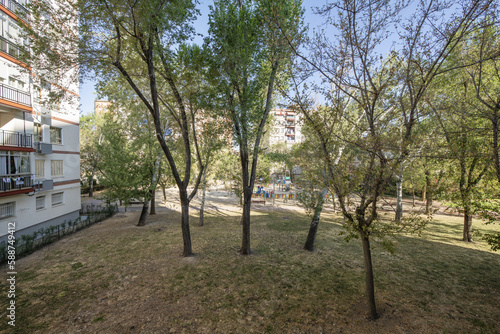 A community garden with a large number of trees and a slightly neglected lawn