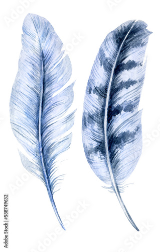 watercolor illustration of bird feather with spotes, grey and blue color, hand drawn sketch isolated on white background photo