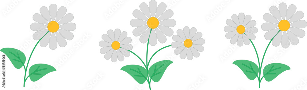 Fototapeta premium spring daisies and flowers, vector plants