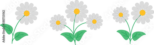 spring daisies and flowers, vector plants