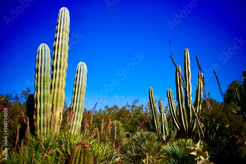 Wunderschöne Aufnahme in Marrakesch Marokko