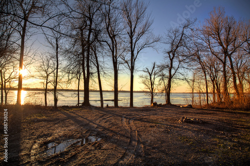 Sunset behind a stand of Trees by the Mississippi River in Southeast Missouri 