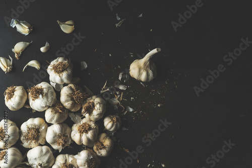 Garlic bulbs on black rustic metal background