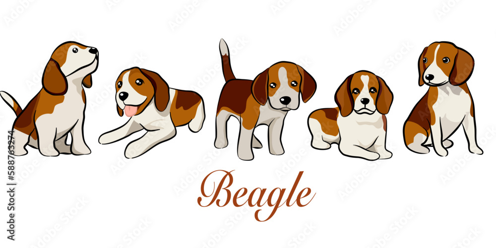 doodle style hand drawn, Cute cool beagle puppy set. Collection of flat dog in various poses and actions. Vector illustration of domestic pet behavior doodle style hand drawn, Cute cool beagle puppy set. Collection of flat dog in various poses and actions. Vector illustration of domestic pet behavior