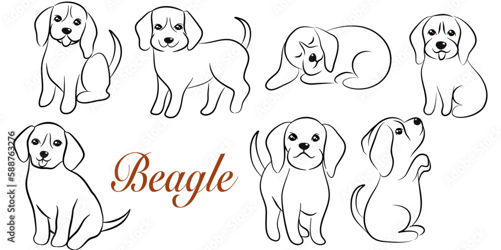 Fototapeta premium doodle style hand drawn, Cute cool beagle puppy set. Collection of flat dog in various poses and actions. Vector illustration of domestic pet behavior