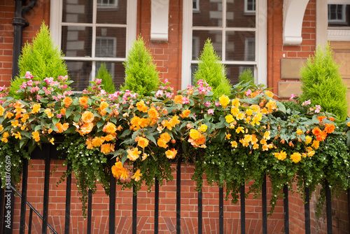 Wallpaper Mural Fence with flowers Torontodigital.ca