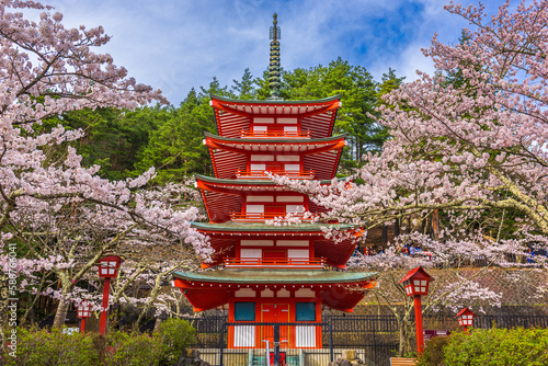 Εκτύπωση καμβά Fujiyoshida, Japan at Chureito Pagoda in Arakurayama Sengen Park during Spring
