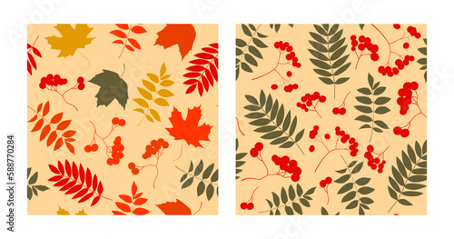 Set of patterns of colorful trendy autumn leaves and berries. Vector illustrations for web, app and print. Elegant shapes floristic isolated rowan leaves. Forest, botanical, minimalistic floral