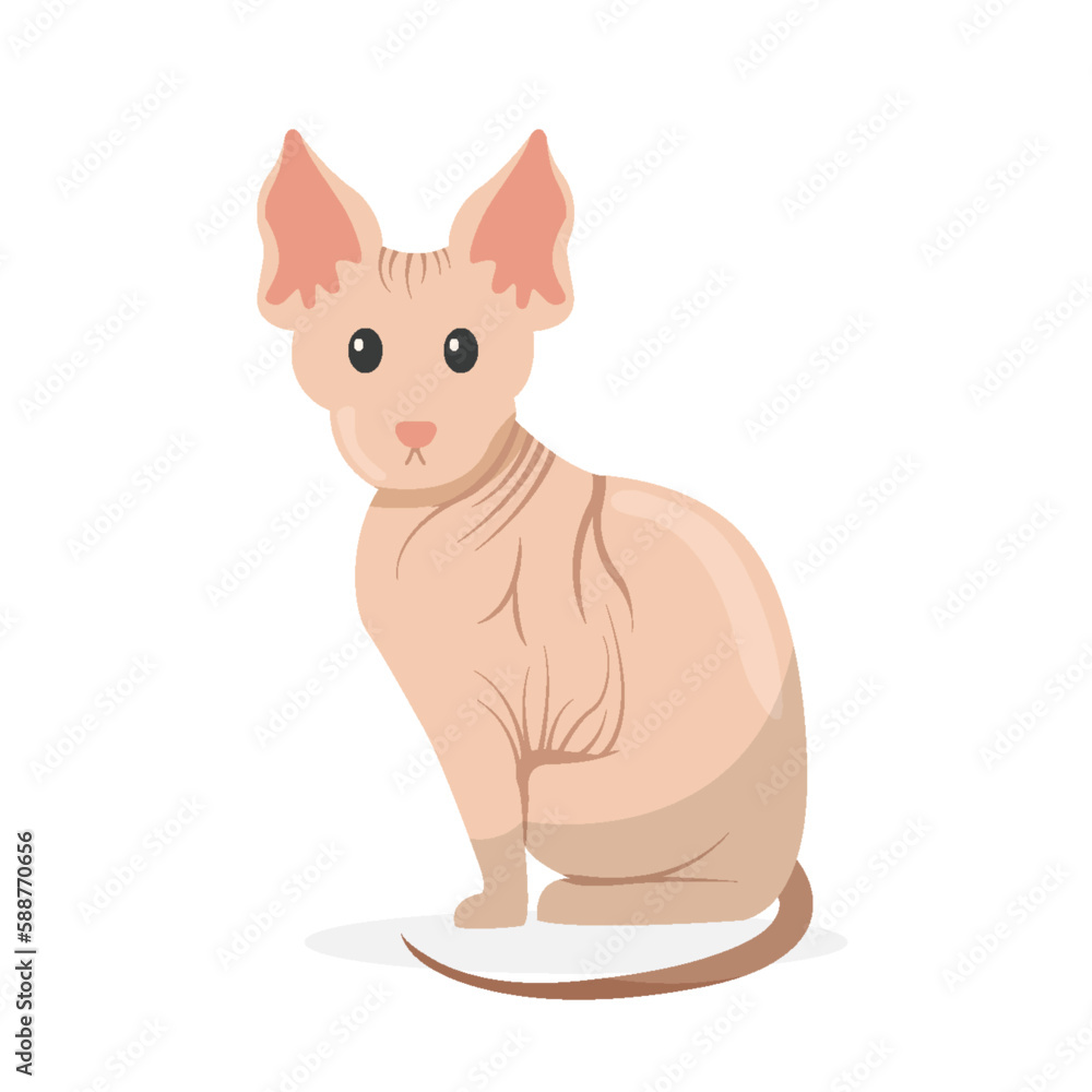 cartoon cat. pet characters illustration
cartoon cat. pet characters illustration