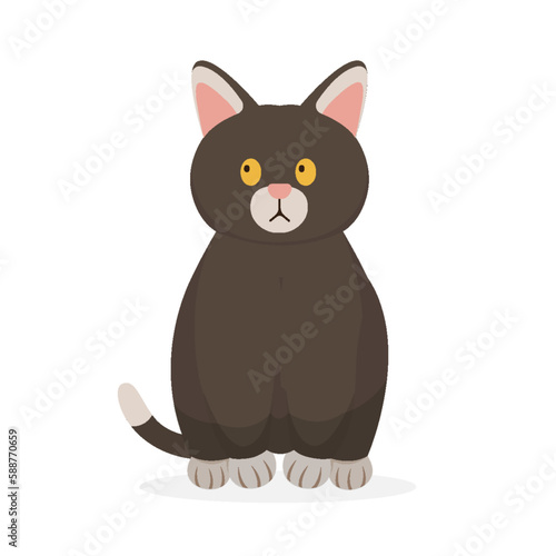 cartoon cat. pet characters illustration  