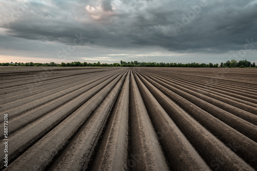 Furrows row pattern in a plowed field prepared for planting potatoes crops under clouds